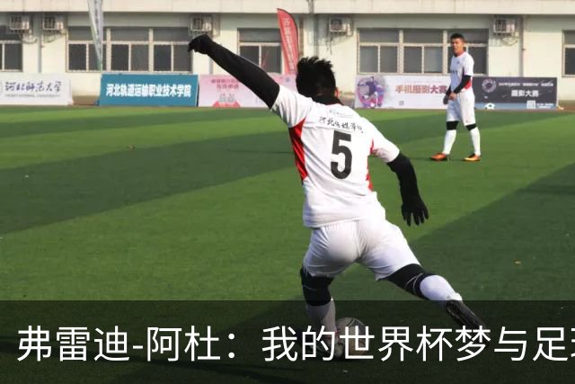 弗雷迪-阿杜：我的世界杯梦与足球人生的漂流记